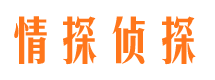 舒城私家调查公司